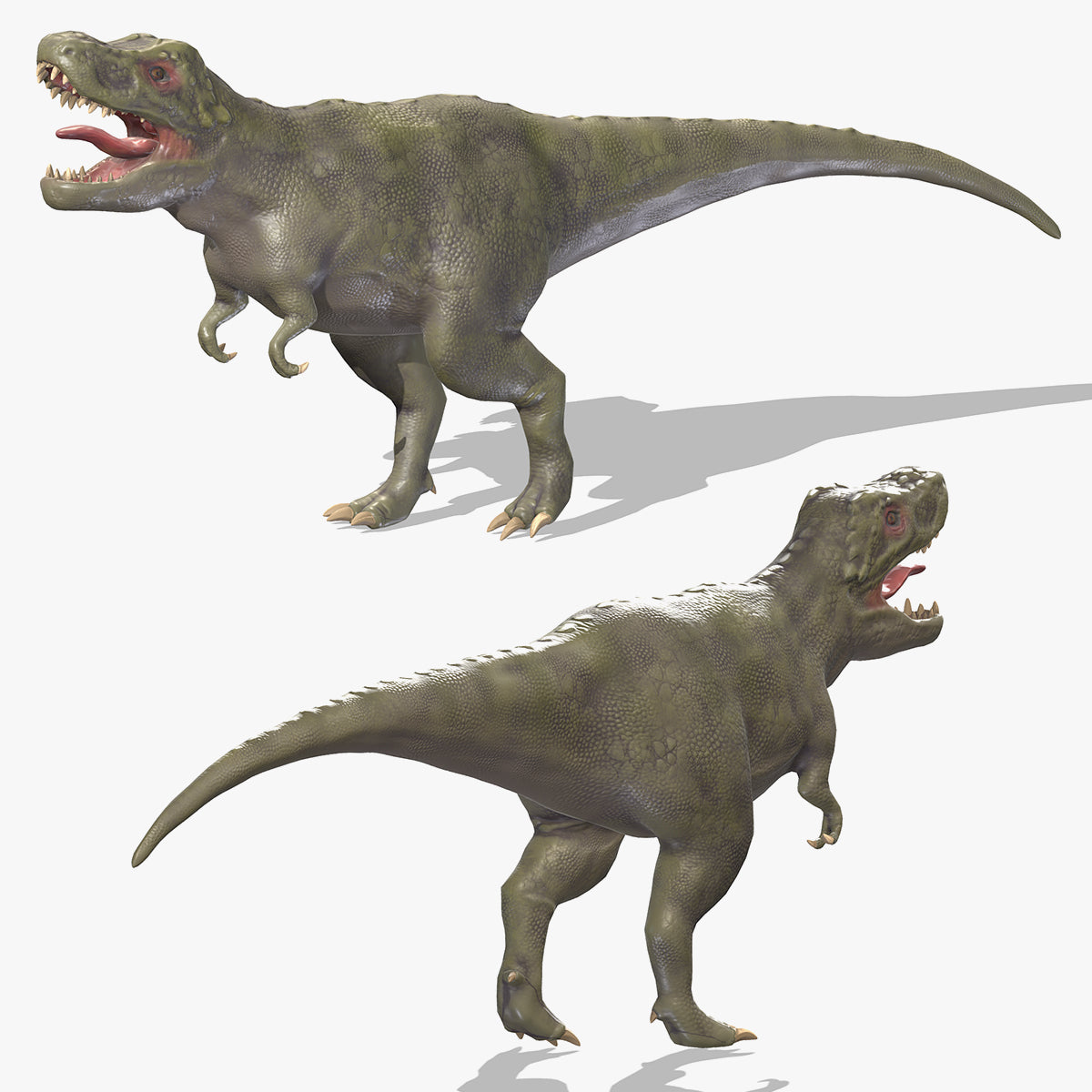 Tyrannosaurus 01 Low Poly