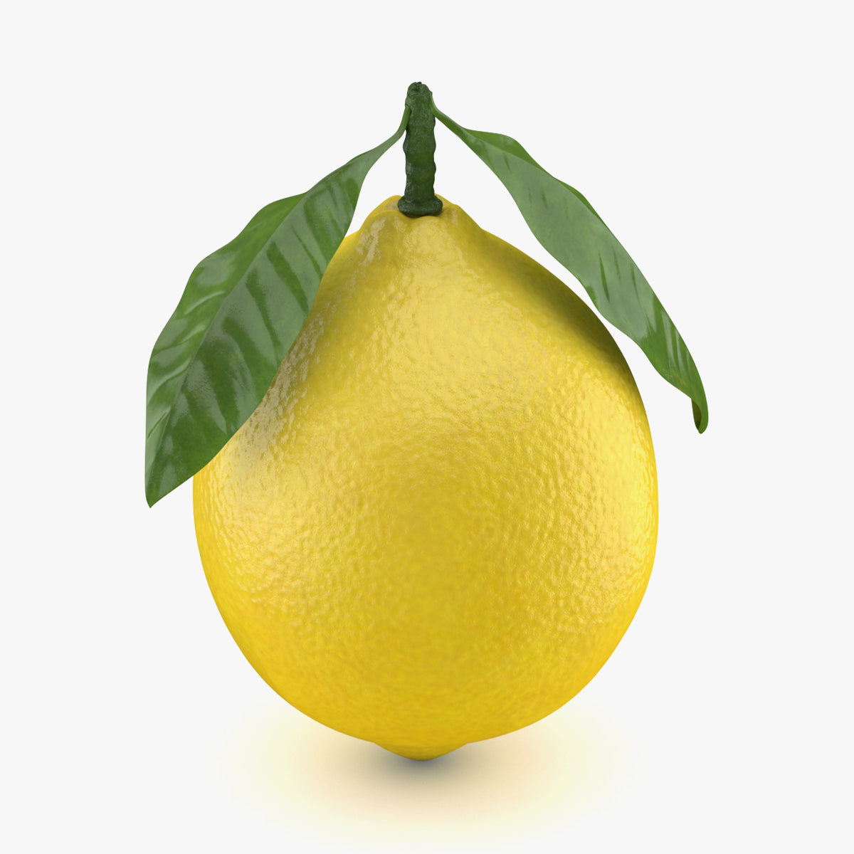 Lemon with Leaf