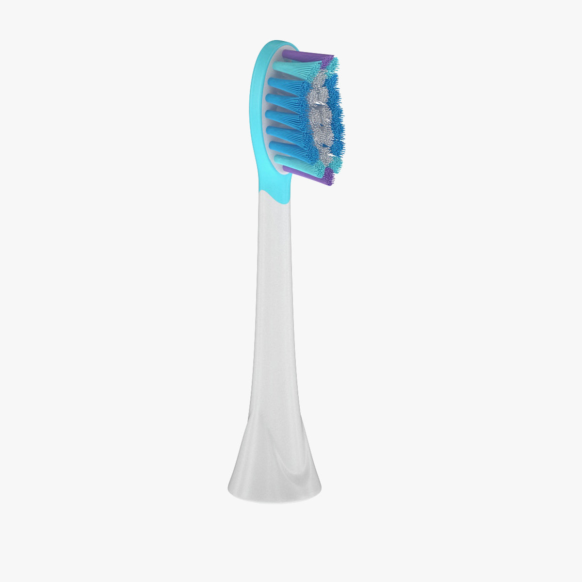 Toothbrush Head