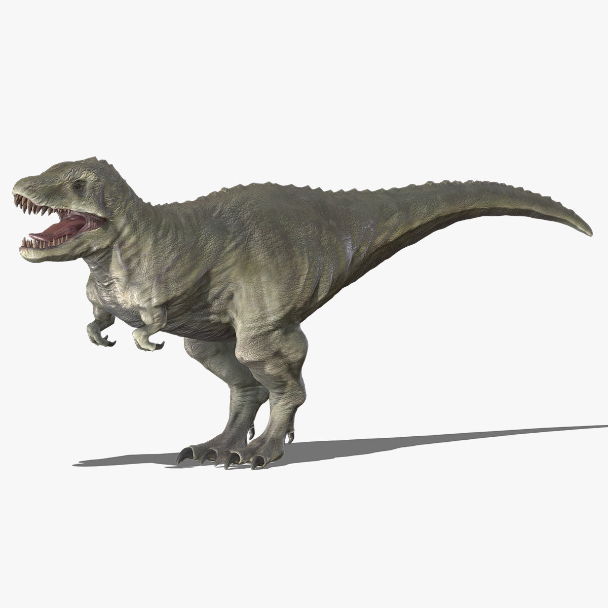 Tyrannosaurus 02 Low Poly