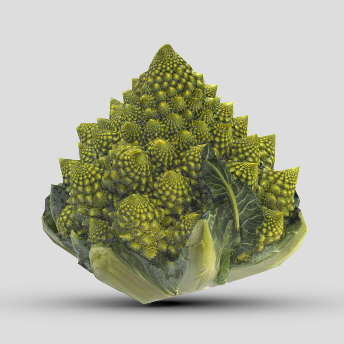 Romanesco Low Poly