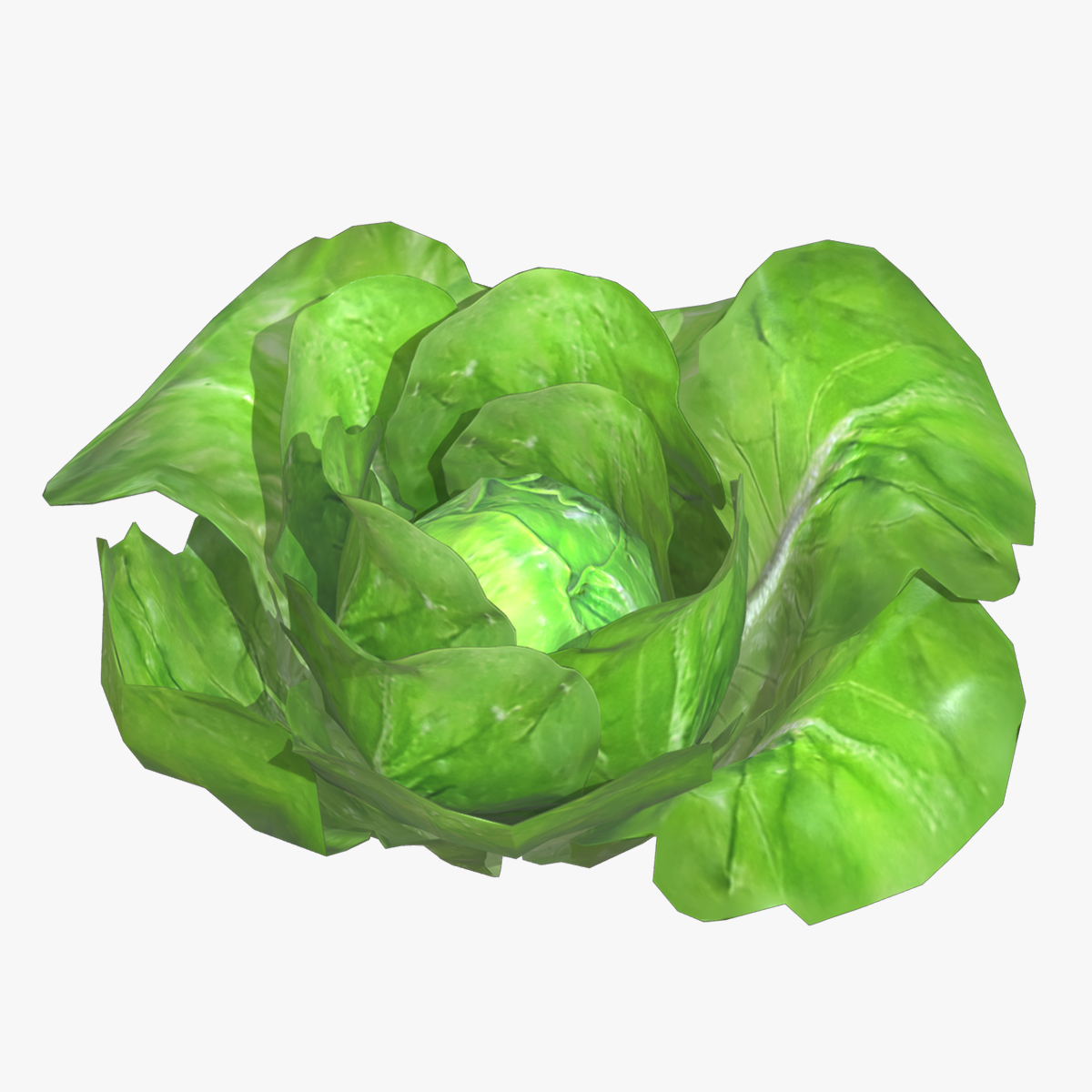 Lettuce Low Poly