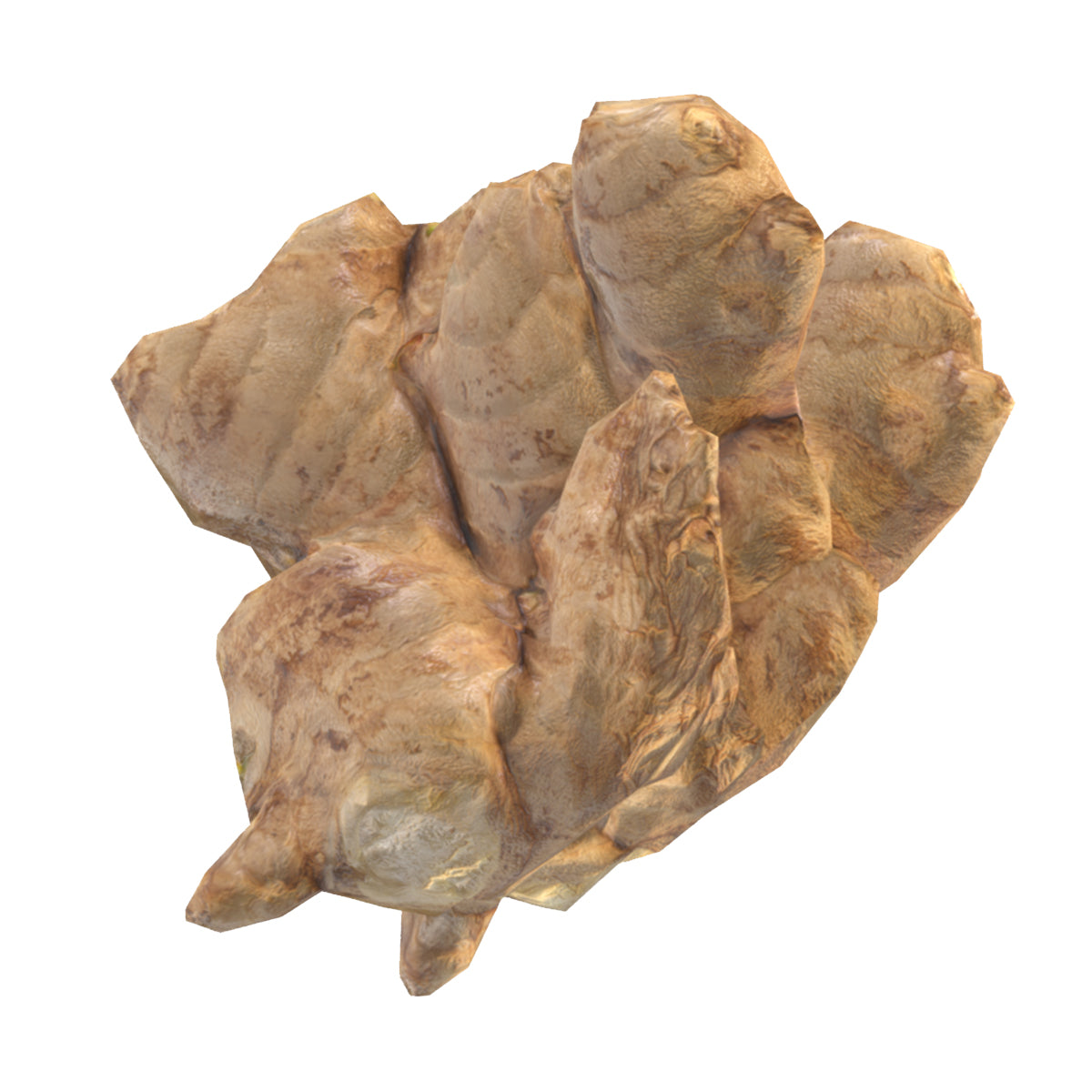 Ginger Low Poly