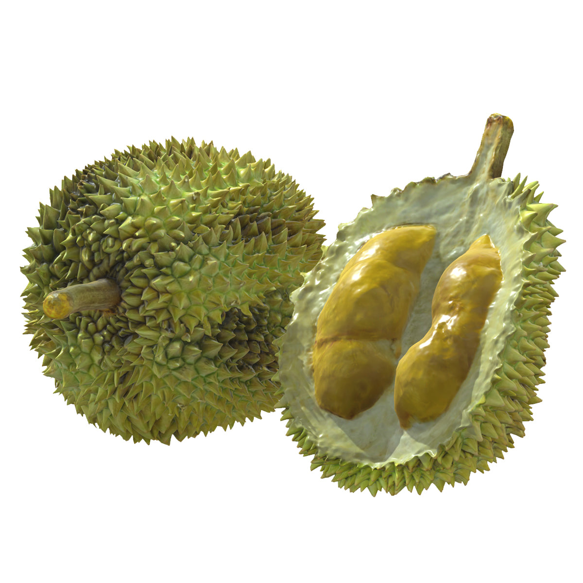 Durian Low Poly