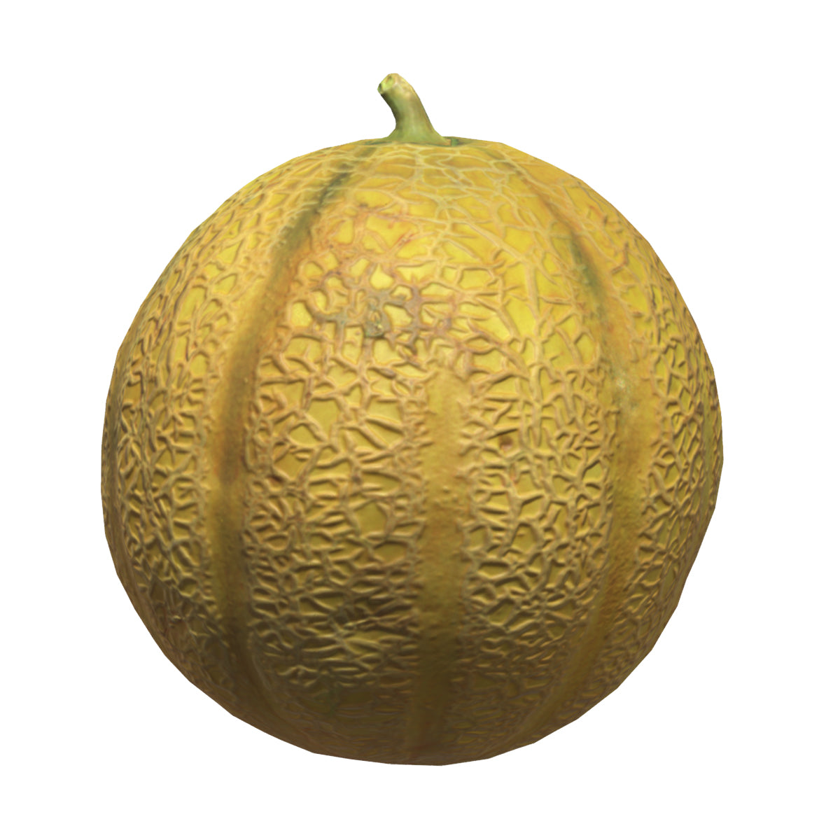 Melon Fruit Low Poly