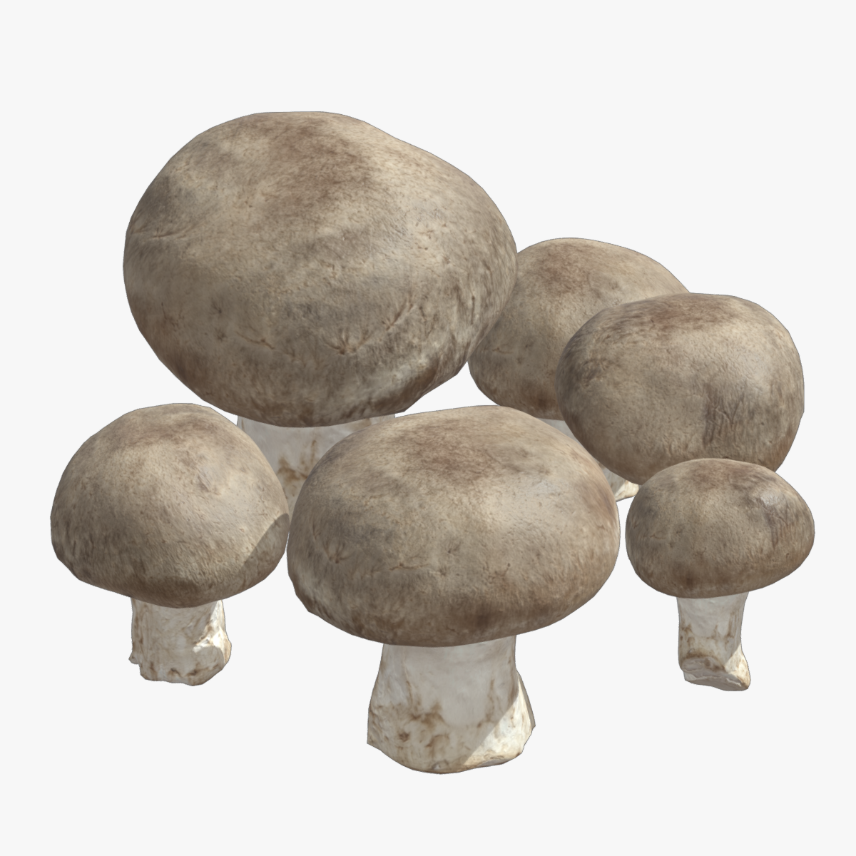 Fresh Mushroom 2 Low Poly