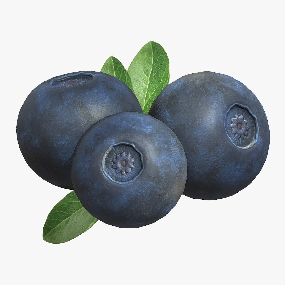 Fruit Bilberry Low Poly