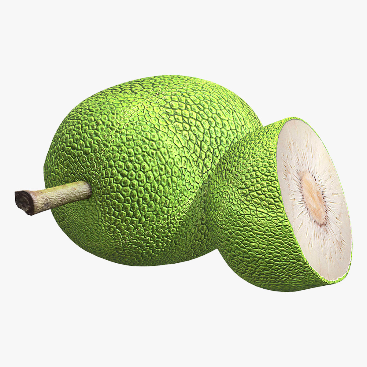 Fruit Breadfruit Low Poly