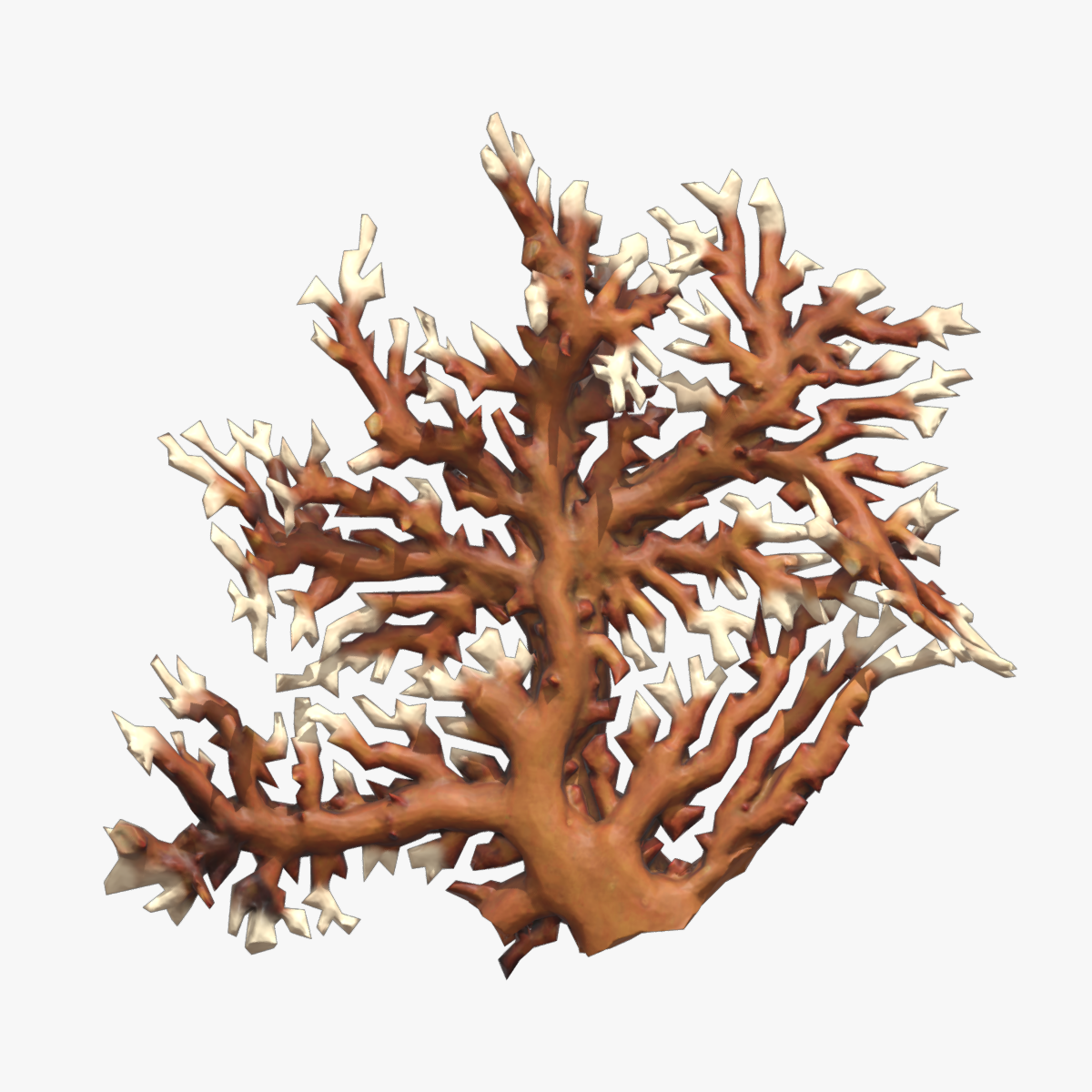 Fire coral Low Poly