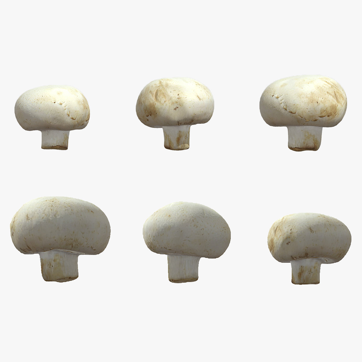 Button Mushroom Low Poly