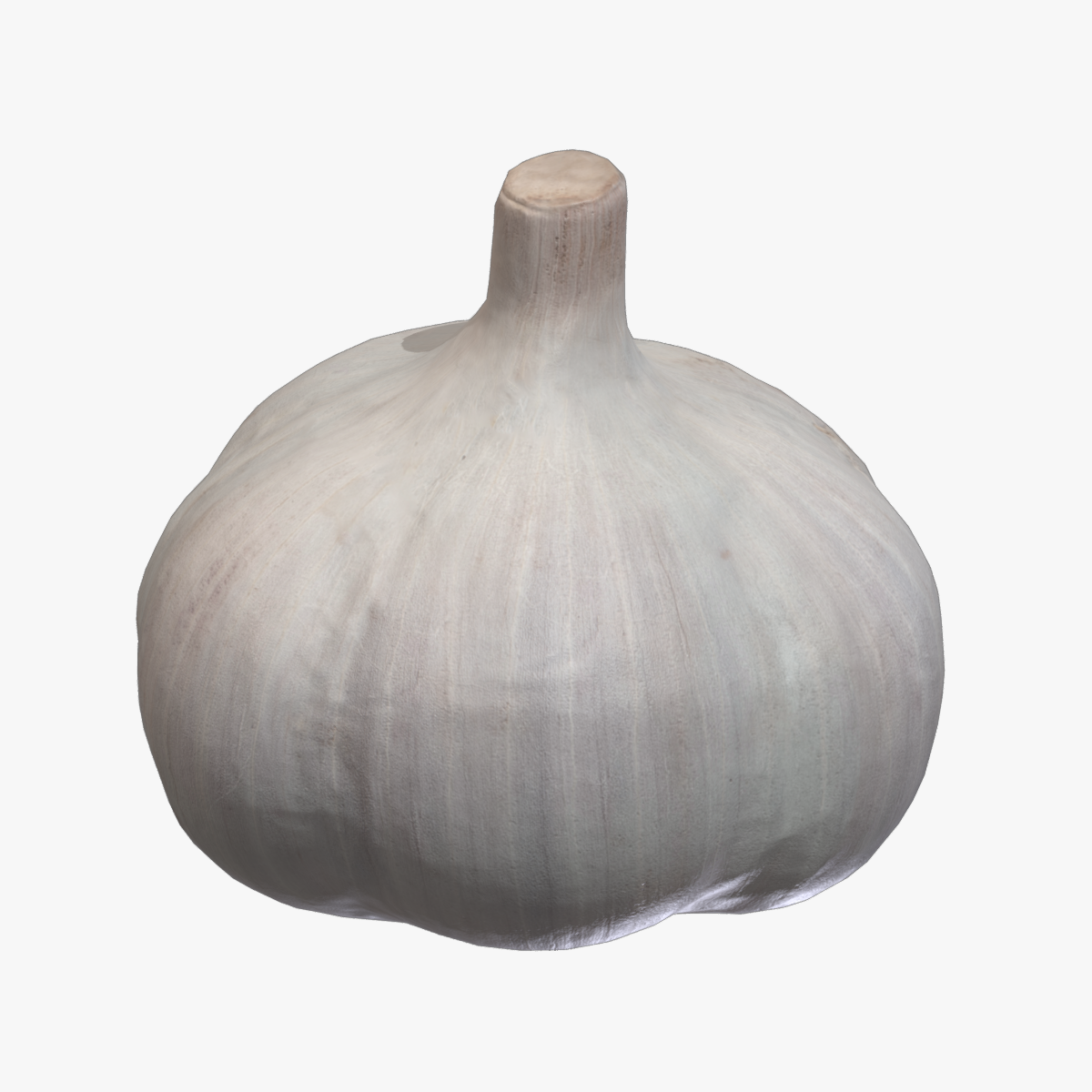 Garlic Low Poly