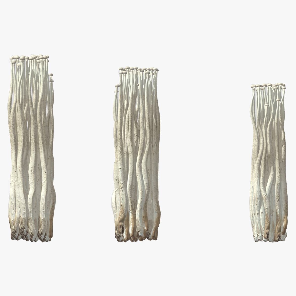 Enoki Mushroom Low Poly