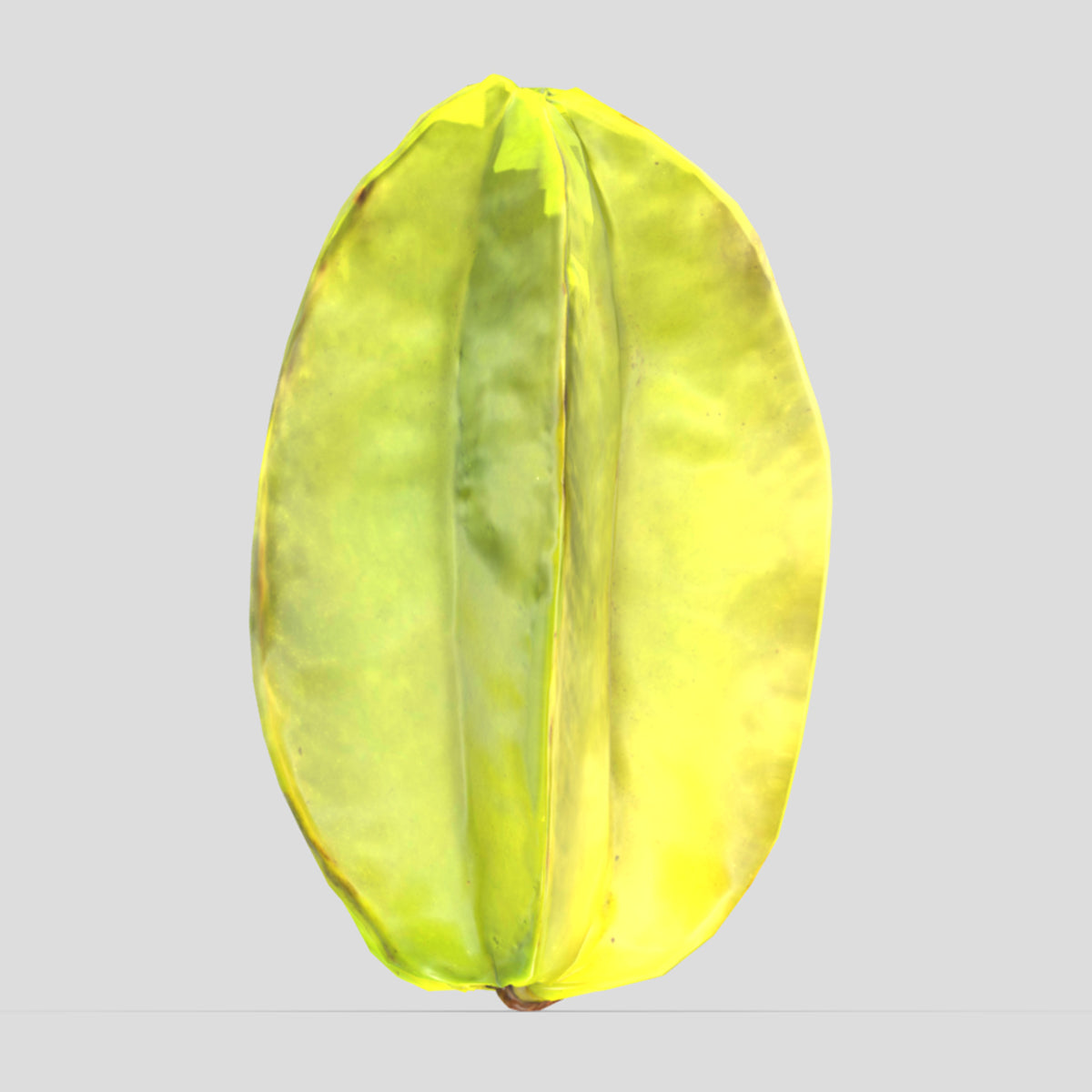 Star Fruit Low Poly