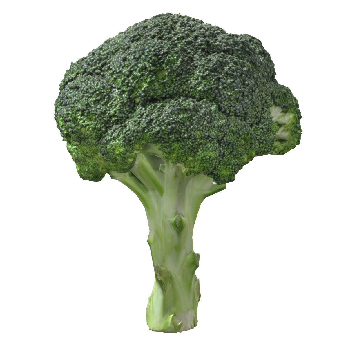 Broccoli Low Poly