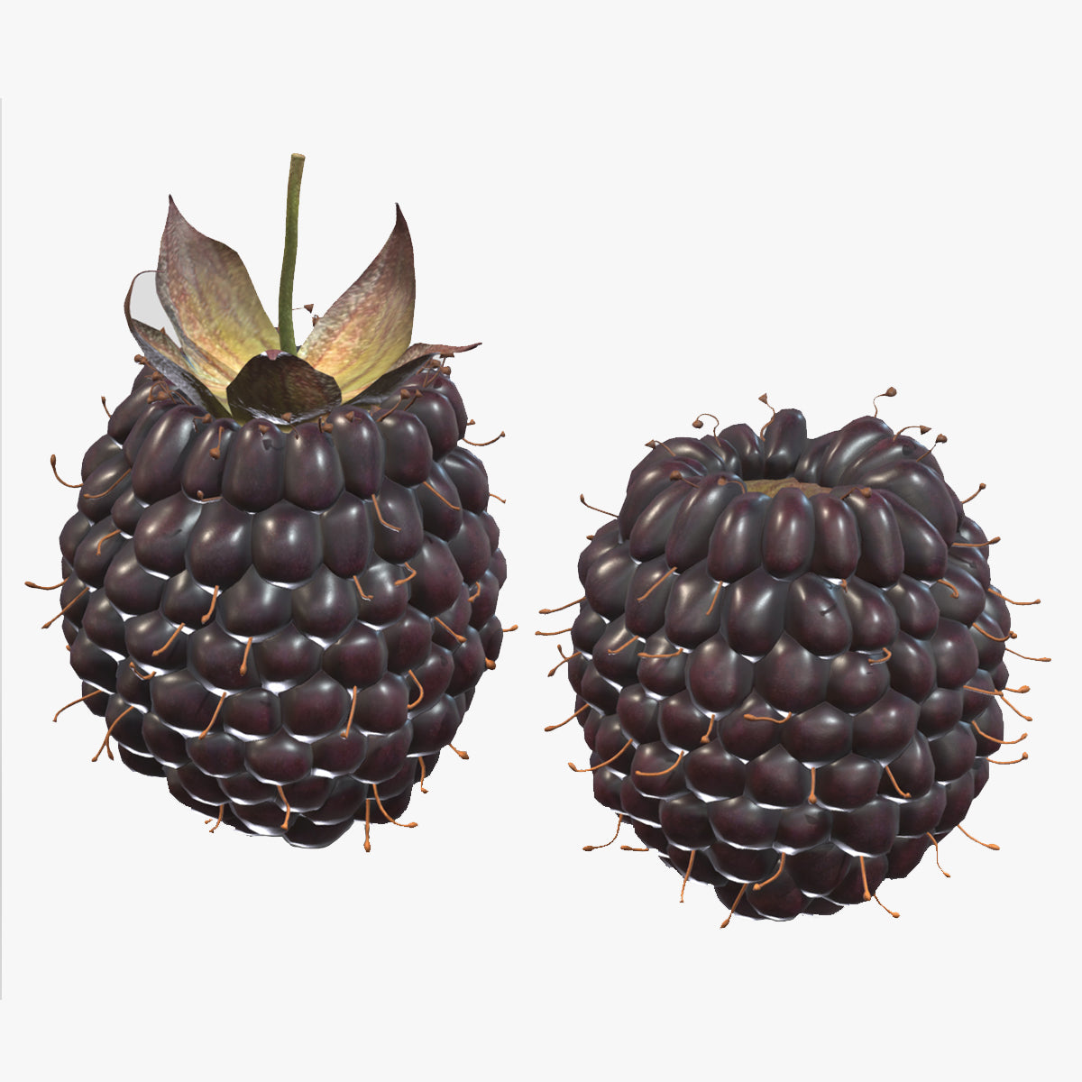 Boysenberry Fruit Low Poly