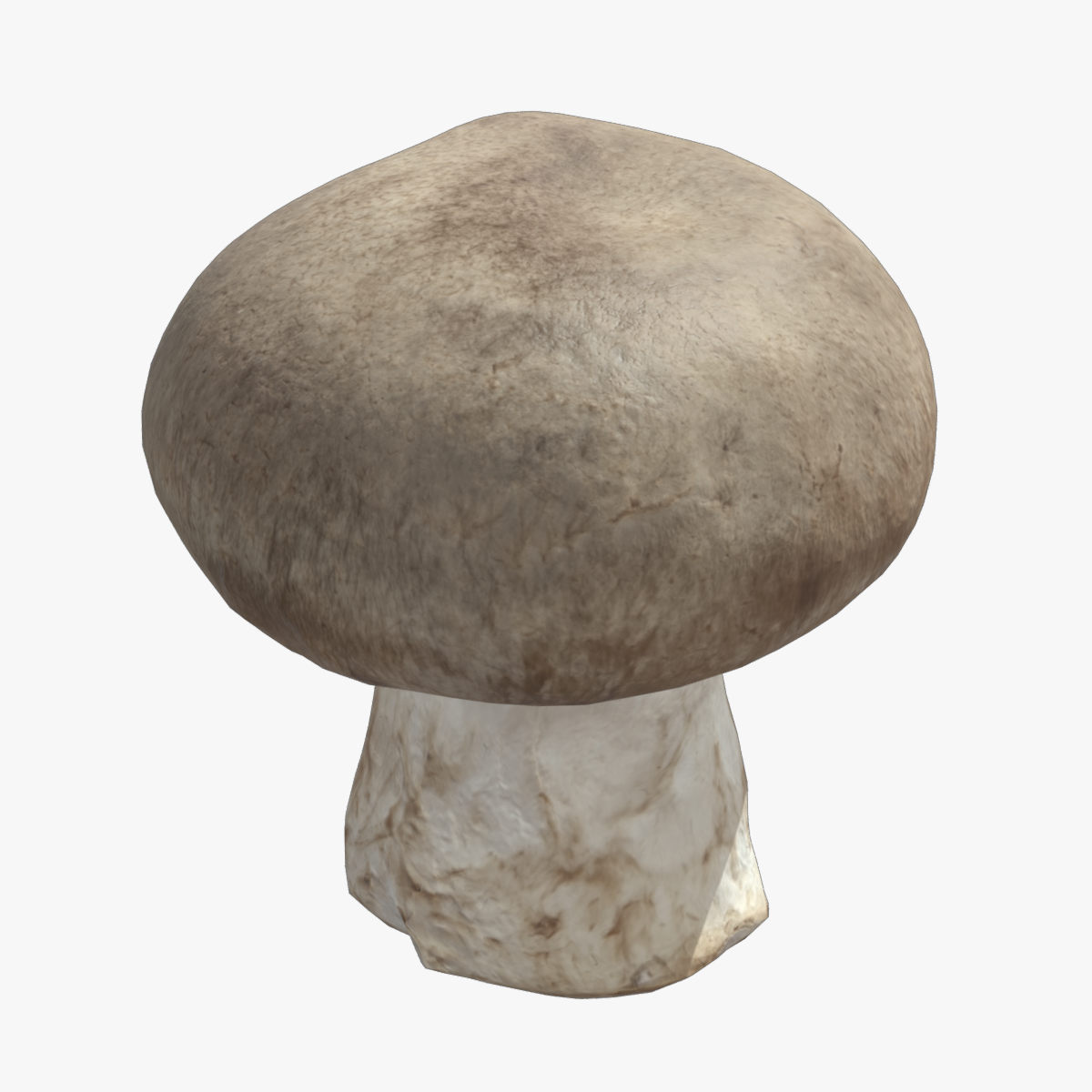 Fresh Mushroom 01 Low Poly