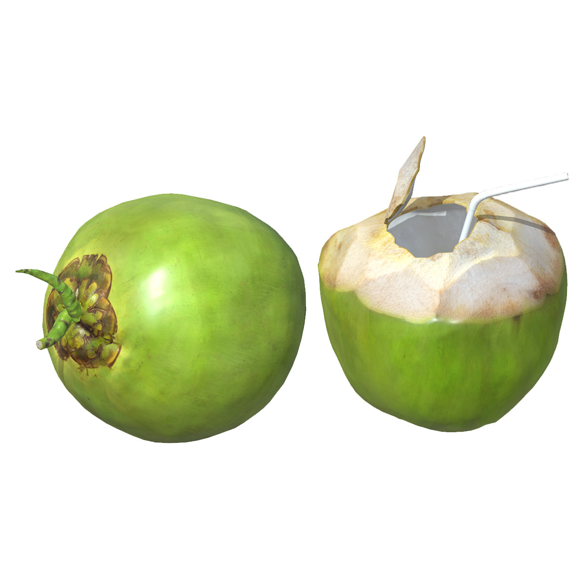 Coconut 02 Low Poly