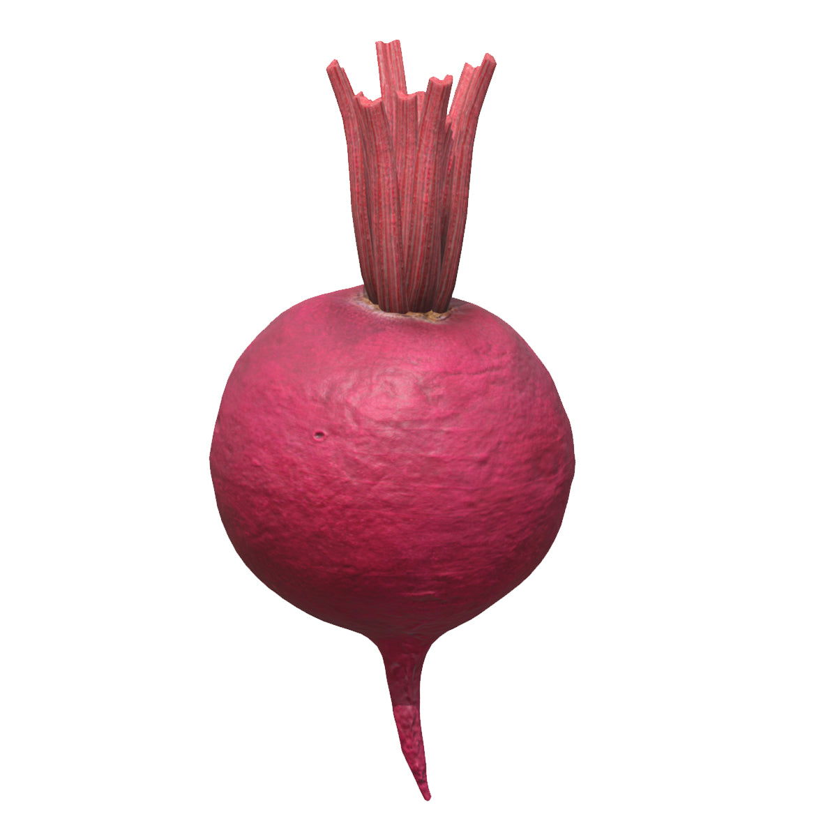 Beetroot Low Poly