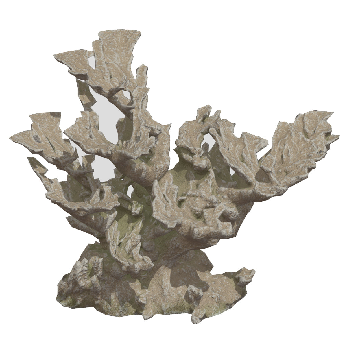 Elkhorn Coral Low  Poly