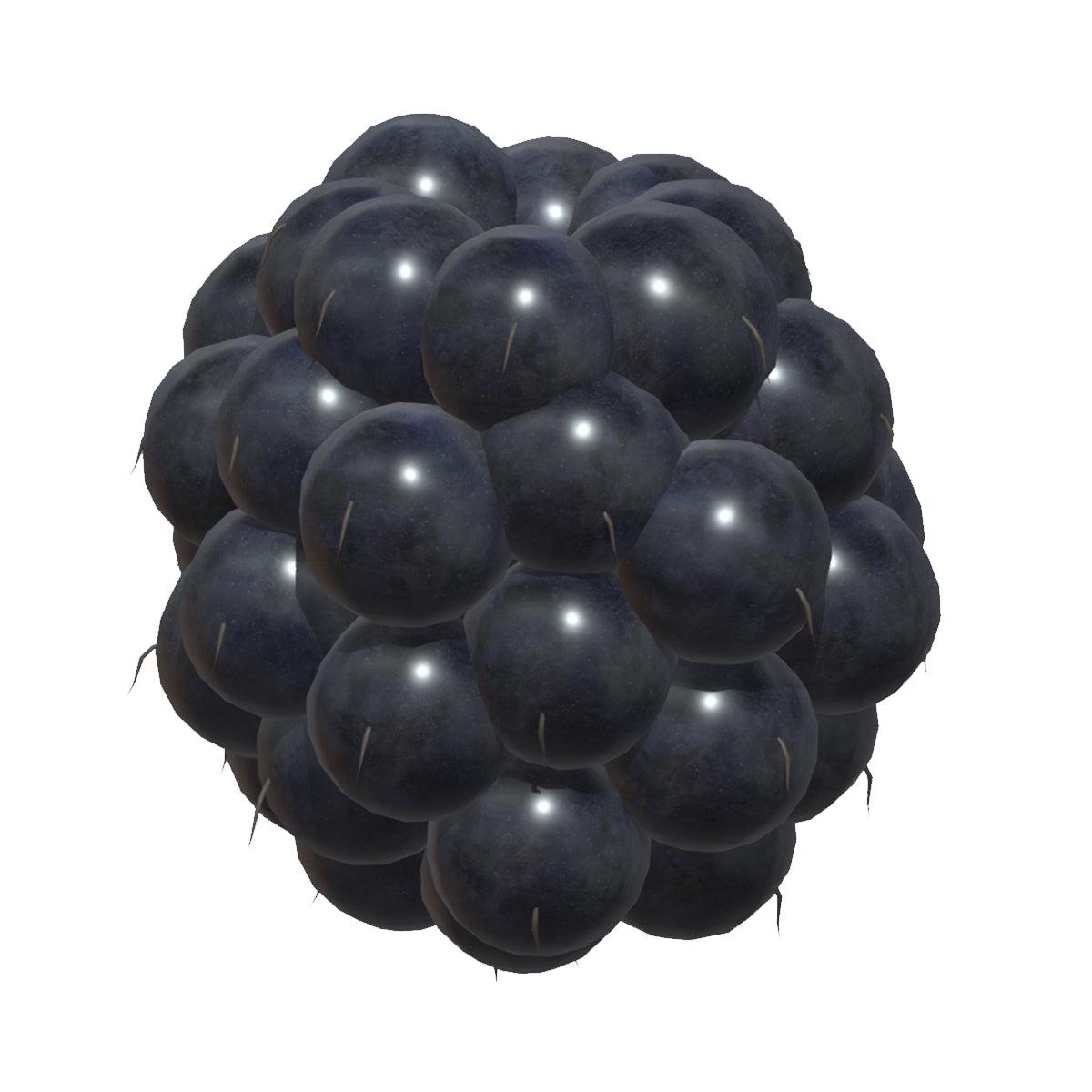 Blackberry Fruit Low Poly