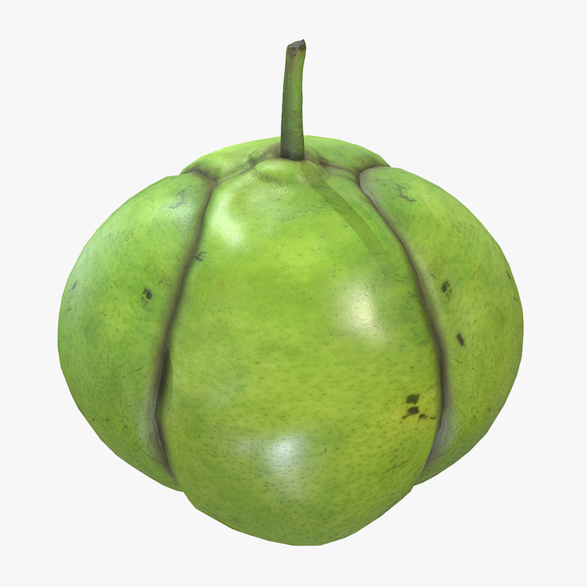 Fruit Dillenia Philippinensis Low Poly