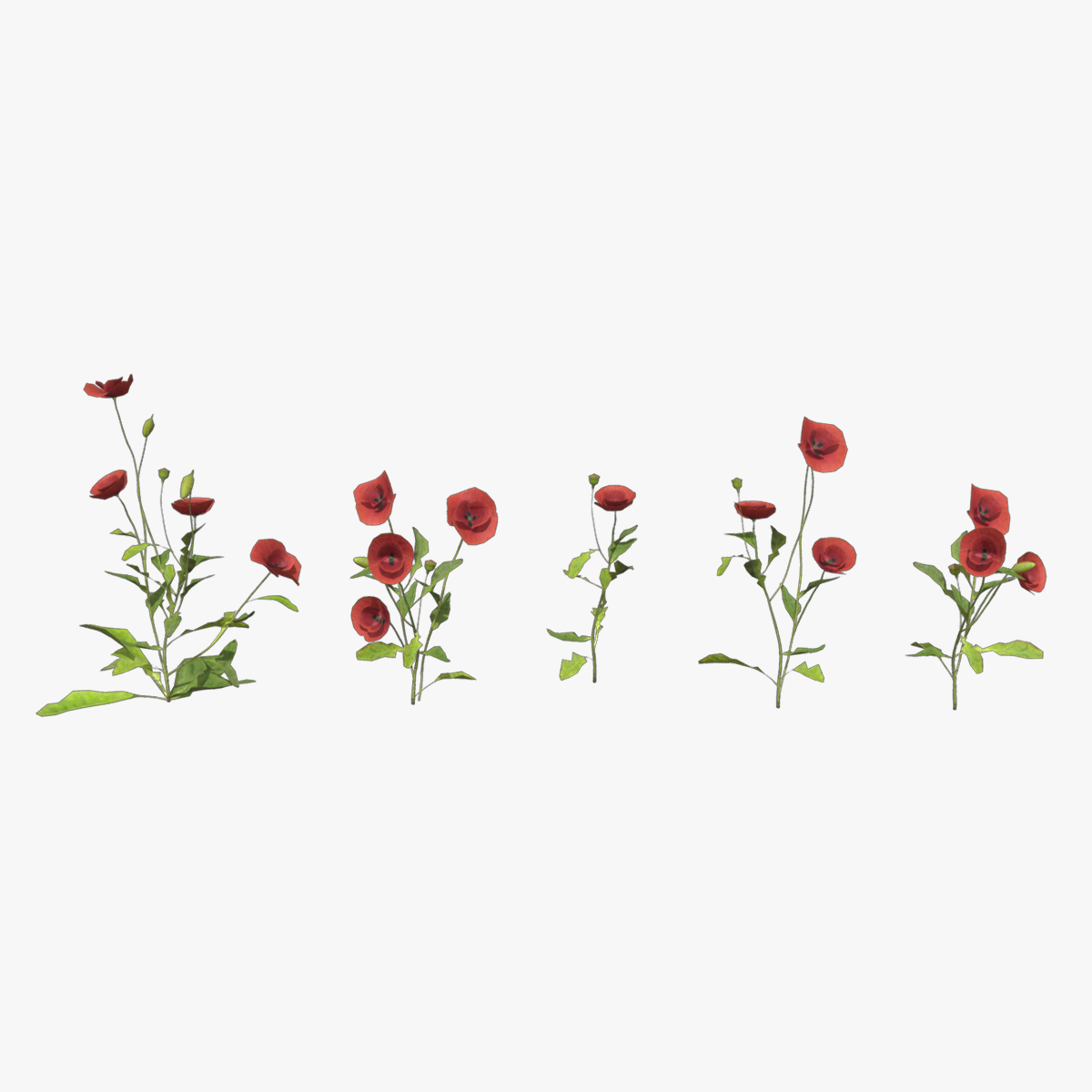 Poppy Flower Low Poly