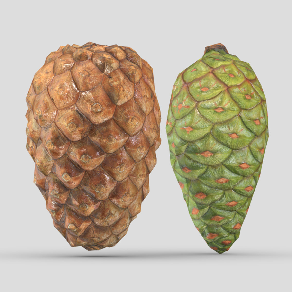 Pine Cone2 Low PoLy