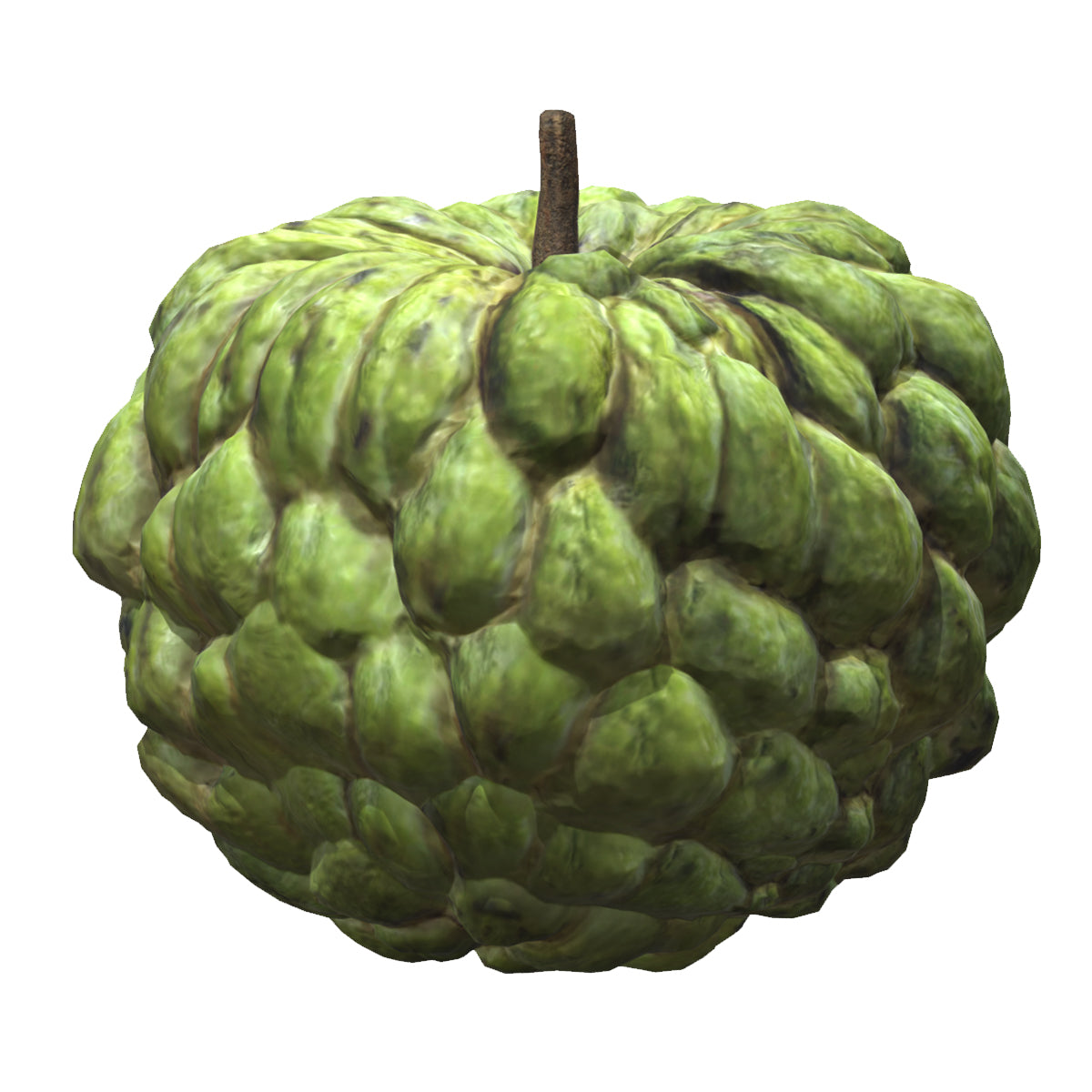 Custard Apple Low Poly